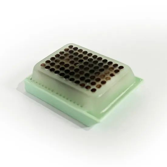 Suministro médico desechable Bloque de microarrays de tejidos utilizado para el examen de material de investigación científica